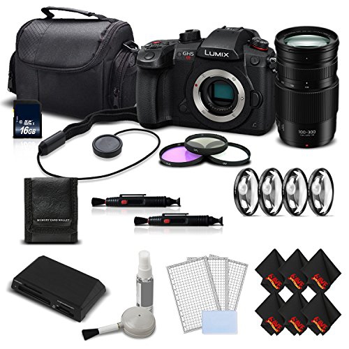 Panasonic Lumix DC-GH5S Camera International Version + Panasonic Lumix G Vario 100-300mm f/4-5.6 II Lens