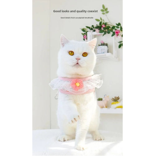 Laisse de marche pour chat et chien convenant aux petits chiens, harnais de poitrine pour petit chien populaire – jaune M (recommandé 7-15 chats)