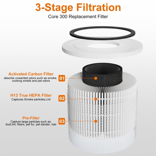 Paquet de 2 filtres de rechange pour purificateur d'air LEVOIT Core 300