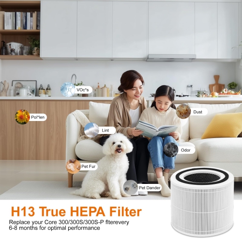 Paquet de 2 filtres de rechange pour purificateur d'air LEVOIT Core 300