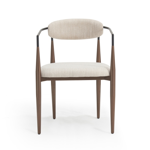 Set of 2 Modern Upholstered Dining Chairs - Gold Accent