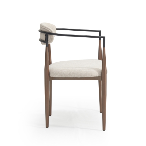 Set of 2 Modern Upholstered Dining Chairs - Gold Accent