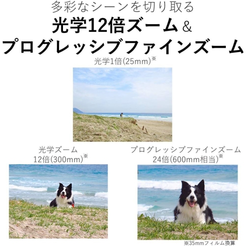 Canon Compact Digital Camera IXY 650 12x Optical Zoom IXY650 - Black - Bundle