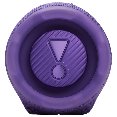 JBL Charge 6 Waterproof Bluetooth Wireless Speaker - Purple