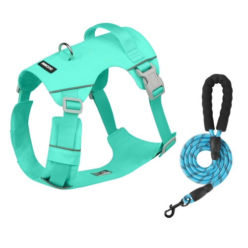 Nouvel ourlet léger avec corde de traction de rechange, laisse réfléchissante étanche et à séchage rapide pour chiens, ensemble de deux pièces vert