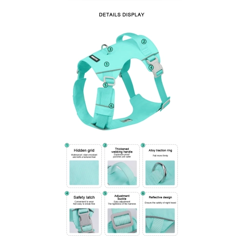 Nouvel ourlet léger avec corde de traction de rechange, laisse réfléchissante étanche et à séchage rapide pour chiens, ensemble de deux pièces vert