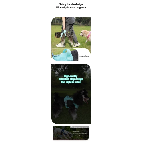 Nouvel ourlet léger avec corde de traction de rechange, laisse réfléchissante étanche et à séchage rapide pour chien, taille M 15 catties to