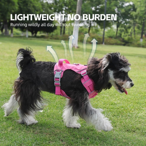 Nouvel ourlet léger avec laisse de rechange, laisse hydrofuge réfléchissante et à séchage rapide pour chiens, taille M, 15 catties à 28 kg -