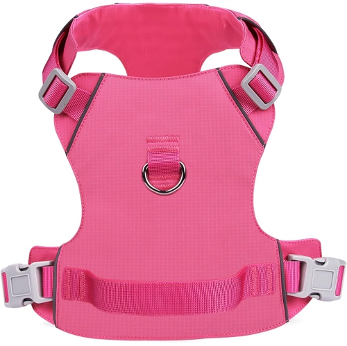 Nouvel ourlet léger avec laisse de rechange, laisse réfléchissante étanche et à séchage rapide pour chiens, taille M, 15 catties à 28&nbsp;kg -