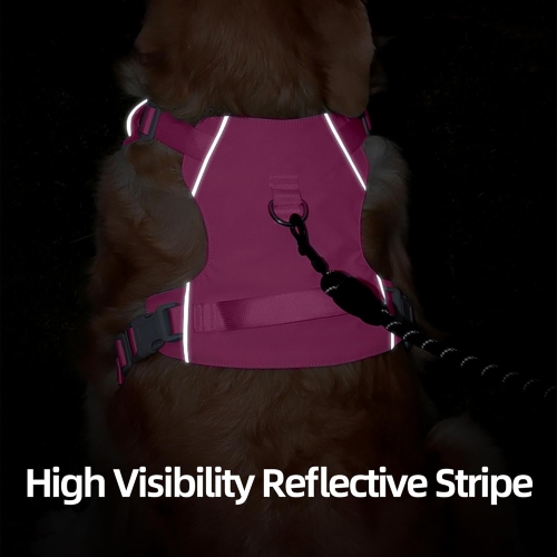 Nouvel ourlet léger avec laisse de rechange, laisse réfléchissante étanche et à séchage rapide pour chiens, taille M, 15 catties à 28&nbsp;kg -