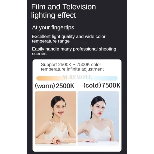 80W handheld outdoor light, COB high-power fill light photography light, professional video shooting stage lighting - ZGRL80 standard + handle