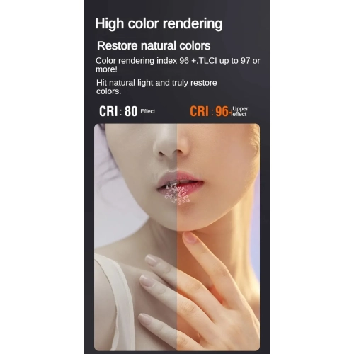 80W handheld outdoor light, COB high-power fill light photography light, professional video shooting stage lighting - ZGRL80 standard + handle