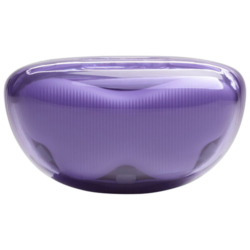 Écouteurs boutons 100 % sans fil à suppression du bruit Tune Flex 2 édition Ghost de JBL - Violet fantôme