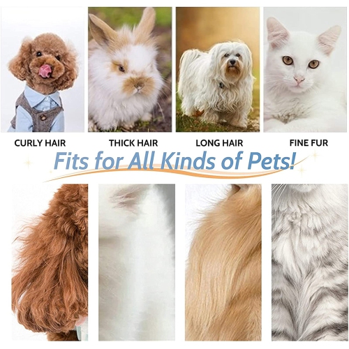 Tondeuses pour chien/rasoir rechargeable pour animaux de compagnie avec lame en acier inoxydable/rasoir pour chiens et animaux de compagnie