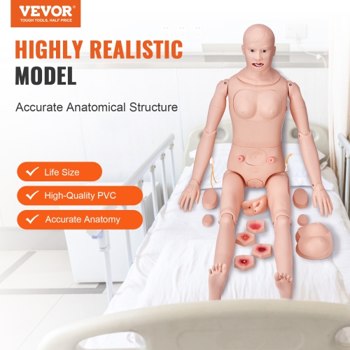 VEVOR Nursing Training Manikin, Male/Female Life Size Demonstration Human Manikin for Nursing Training, Multifunctional Education Teaching Model