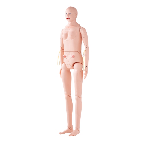 VEVOR Nursing Training Manikin, Male/Female Life Size Demonstration Human Manikin for Nursing Training, Multifunctional Education Teaching Model