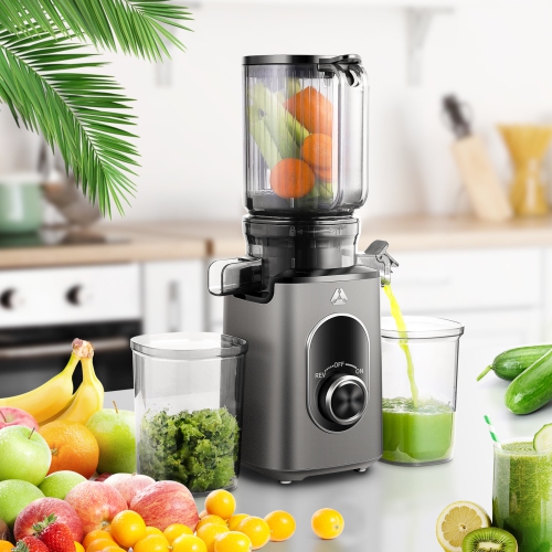 Masticating Juicer with4.35 in Feed Chute, 150W Quiet Moter Cold Press Juicer BPA-Free, Overheat Protection & Large Air Outlet, Slow Juice Extractor