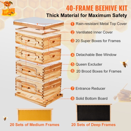 VEVOR 40 Frame Bee Hives Starter Kit, Beeswax Coated Fir Wood, 2 Deep + 2 Medium Bee Boxes Langstroth Beehive Kit, Transparent Acrylic Windows with