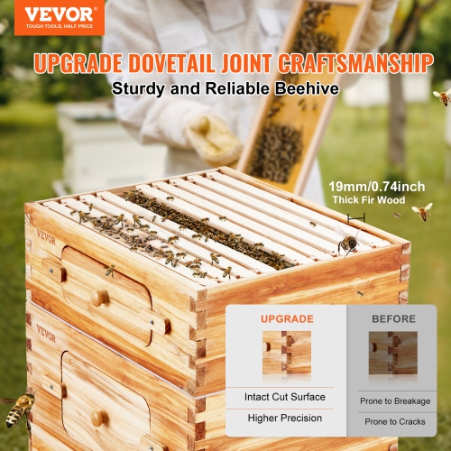VEVOR 30 Frame Bee Hives Starter Kit, Beeswax Coated Fir Wood, 2 Deep + 1 Medium Bee Boxes Langstroth Beehive Kit, Transparent Acrylic Windows with