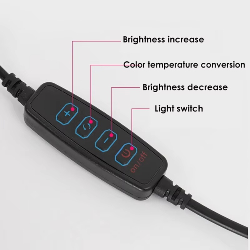 Trépied de bureau de 10 po Trousse de lumière d'appoint Maquillage Live Selfie Ring Light Enregistrement photo Lumière avec photo Clip de