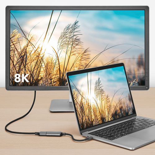 Adaptateur 8K USB-C à DisplayPort 1.4 d'Insignia - Exclusivité Best Buy