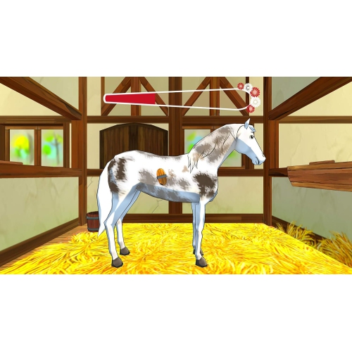 Bibi and Tina New Adventures with Horses [Nintendo Switch]