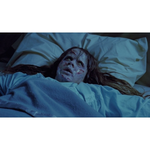 Exorcist, The: Extended Director's Cut + Theatrical Cut [DVD]