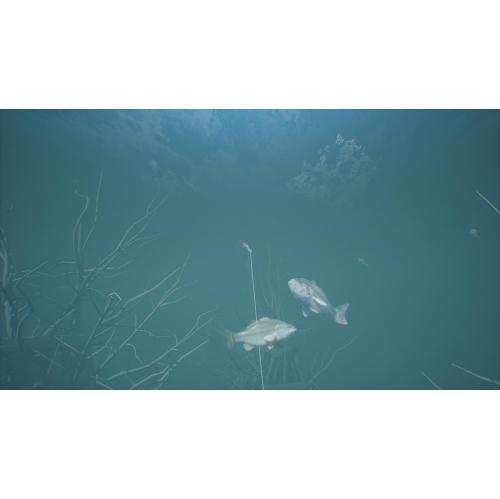 Bassmaster Fishing 2022 Deluxe Edition [PlayStation 4]