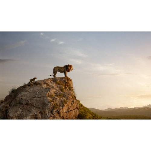 The Lion King: 2-Movie Collection - Disney Animation & Live-Action [Blu-Ray Doublepack]