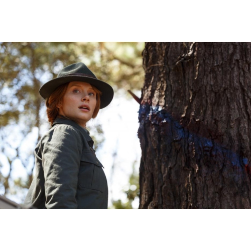 Pete's Dragon - Live Action [Blu-Ray]