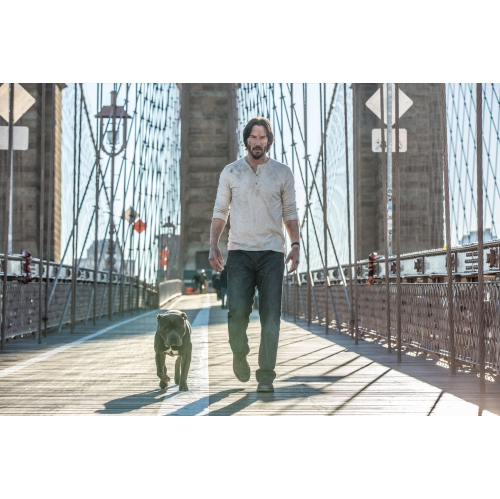 John Wick Chapter 2 [Blu-Ray]