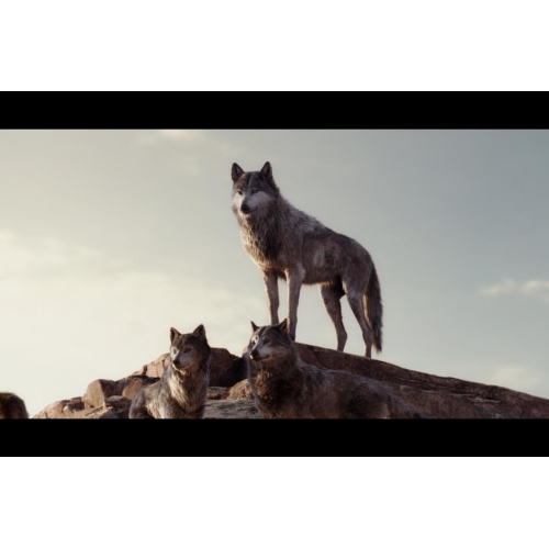 The Jungle Book [Blu-Ray]