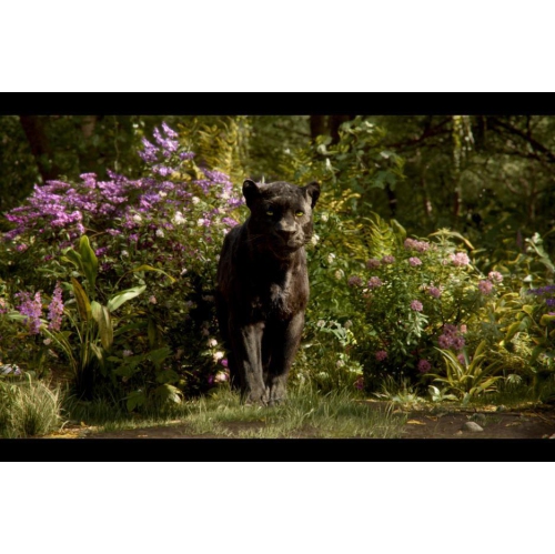 The Jungle Book [Blu-Ray]