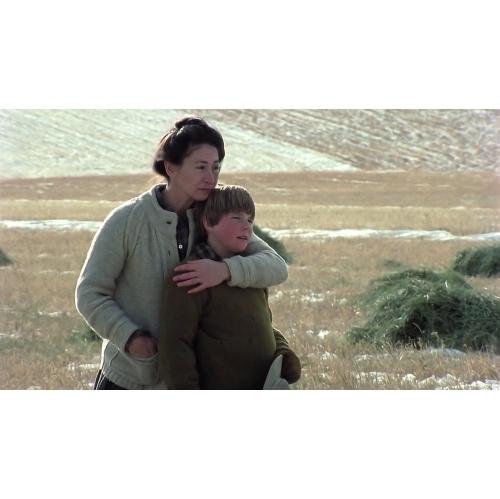 A Wind at My Back Christmas [DVD]