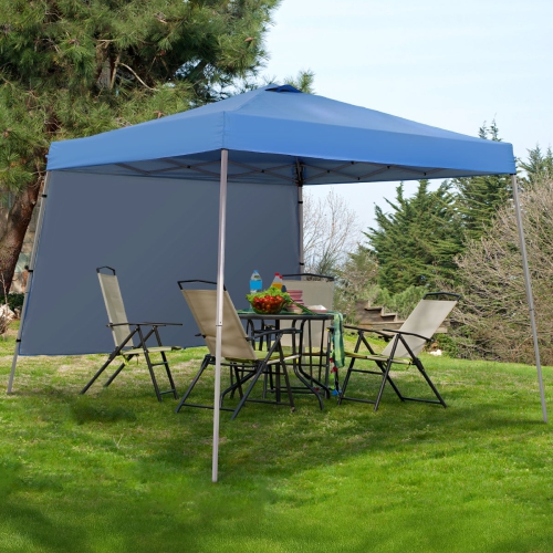 Tente escamotable avec auvent de 10 pi 8 pi d'Ainfox et flanc 1/2