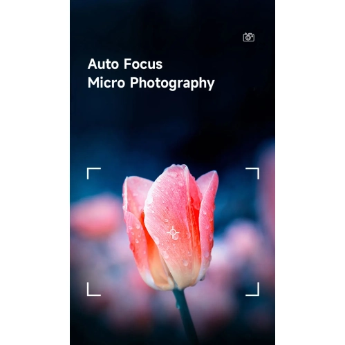 HD video photography digital camera home shooting selfie SLR camera micro single camera, suitable for outdoor travel shooting - black silver 4K