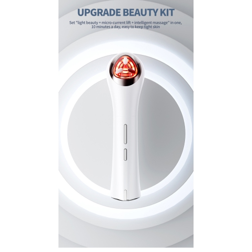 Home IPL Facial Introducing Device Handheld Beauty Photon Rejuvenation EMS Microcurrent Facial Firming - Home Handheld White
