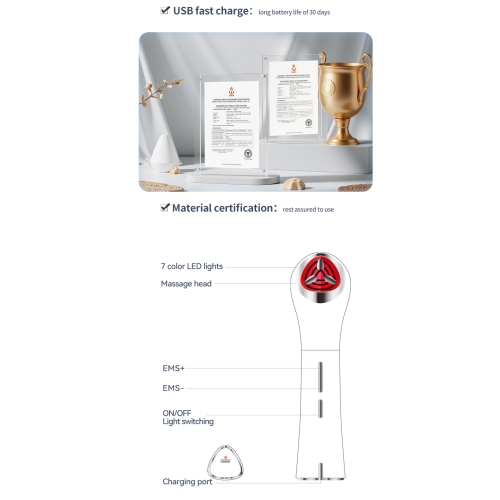 Home IPL Facial Introducing Device Handheld Beauty Photon Rejuvenation EMS Microcurrent Facial Firming - Home Handheld White