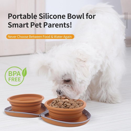 Bol repliable pour chat et chien, distributeur d'eau portatif à deux bols 2 en 1 pour animal de compagnie, idéal pour les voyages, le camping, la