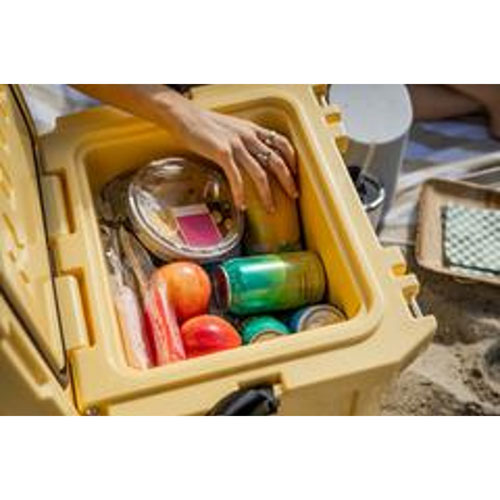 RovR CoolR 23.7 L Hard Shell Cooler with Shoulder Strap - Sunny Side