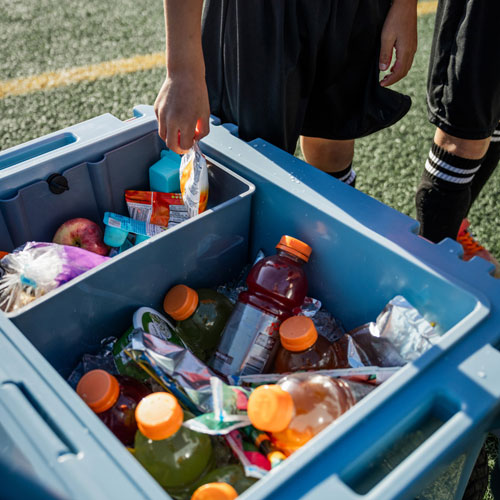 Glacière à parois rigides sur roues de 56,8 L avec poignée RollR de RovR - Pacifique Sud