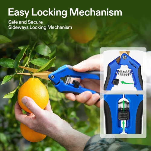 Gardening Scissors 6.5 Inch Hand Pruner Pruning Shear with Straight Stailess Steel Blades, Blue 1 pcs