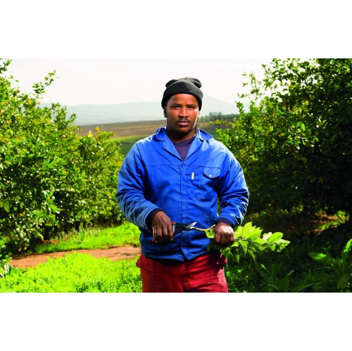 F-5 Ciseaux à élagage manuel classiques