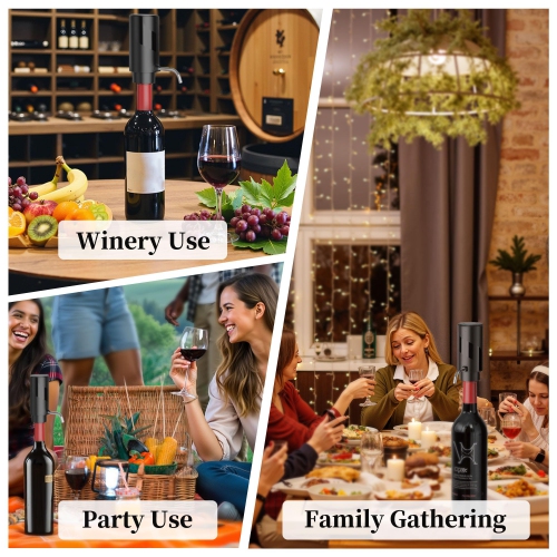Electric Wine Decanter, USB Rechargeable Wine Dispenser, Automatic Wine Pourer, Holiday Gift for Wine Lovers