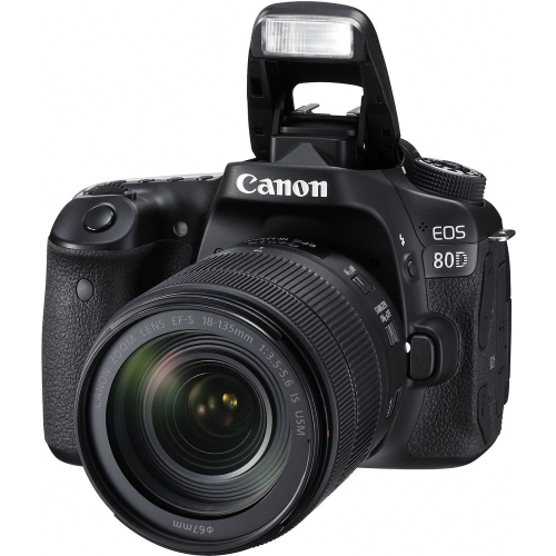 Appareil photo EOS 80D de Canon avec objectif 18-135 mm et objectif EF-S 55-250 mm - Ensemble de base