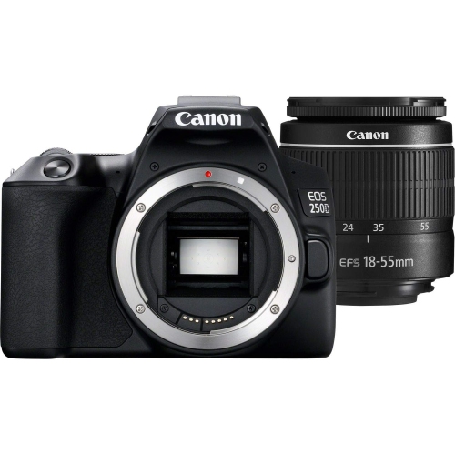 Appareil photo reflex numérique EOS 250D/Rebel SL3 de Canon avec objectif 18 55 mm et accessoires