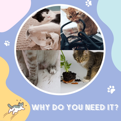 PawHut – Tunnel long pour chats de 39&nbsp;po avec boule suspendue, enveloppe en peluche pour chats d'extérieur Catio avec deux grottes, blanc crème