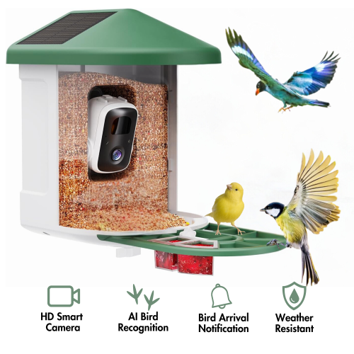 PawFurEver AI Bird Smart Feeder: Your Gateway to Birdwatching Bliss