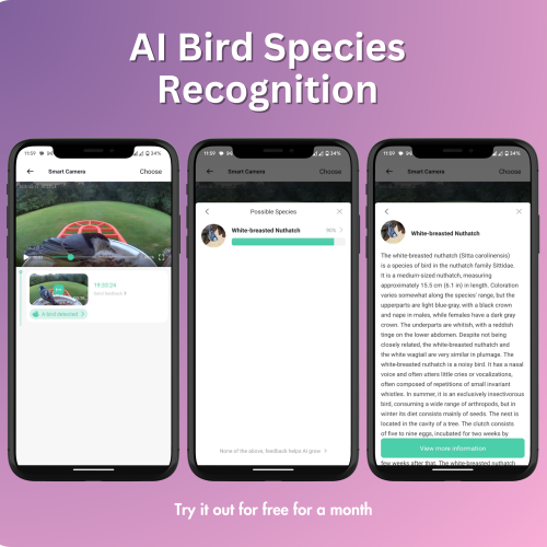 PawFurEver AI Bird Smart Feeder: Your Gateway to Birdwatching Bliss