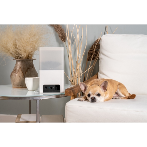 Petcube Bites 2 Lite Interactive Wi-Fi Pet Monitoring Camera with Phone App and Treat Dispenser
